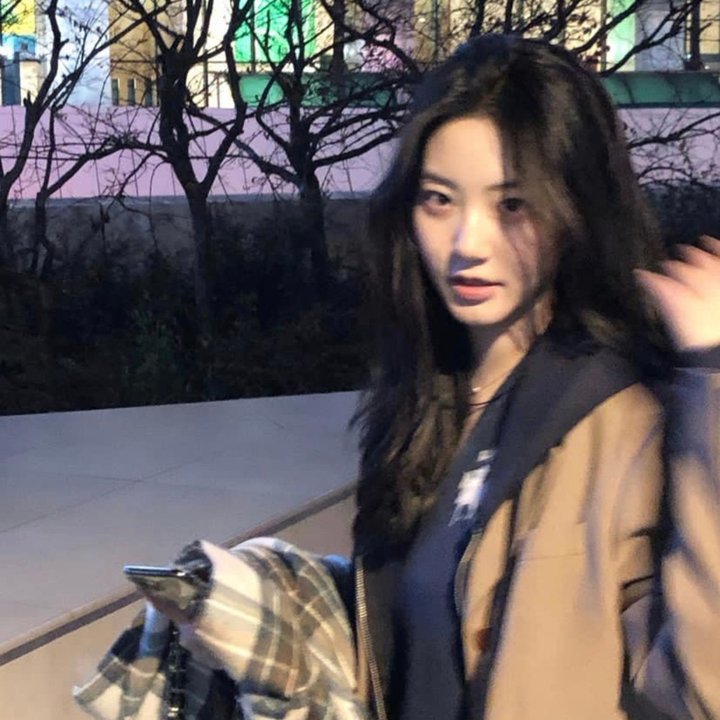 街上无树